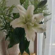 ヒメ日記 2025/06/29 12:49 投稿 もも 香川高松ちゃんこ