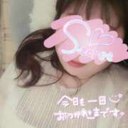 ヒメ日記 2025/07/18 00:39 投稿 もも 香川高松ちゃんこ