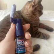 ヒメ日記 2025/08/03 08:29 投稿 もも 香川高松ちゃんこ