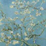 ヒメ日記 2025/09/08 08:59 投稿 もも 香川高松ちゃんこ