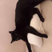 ヒメ日記 2025/09/21 07:59 投稿 もも 香川高松ちゃんこ