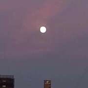 ヒメ日記 2025/10/06 18:49 投稿 もも 香川高松ちゃんこ