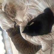 ヒメ日記 2025/10/29 07:59 投稿 もも 香川高松ちゃんこ