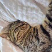 ヒメ日記 2025/11/04 02:09 投稿 もも 香川高松ちゃんこ