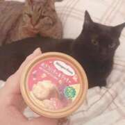 ヒメ日記 2025/11/05 19:29 投稿 もも 香川高松ちゃんこ