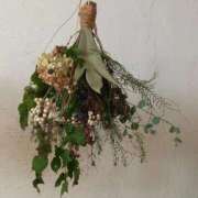 ヒメ日記 2025/11/25 00:59 投稿 もも 香川高松ちゃんこ