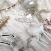 ヒメ日記 2025/12/22 07:49 投稿 もも 香川高松ちゃんこ