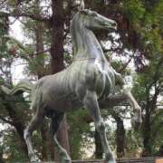 ヒメ日記 2026/01/03 19:49 投稿 もも 香川高松ちゃんこ