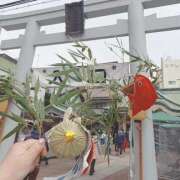 ヒメ日記 2026/01/12 23:39 投稿 もも 香川高松ちゃんこ