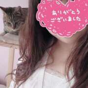 ヒメ日記 2026/02/02 19:49 投稿 もも 香川高松ちゃんこ