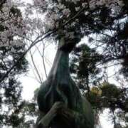 ヒメ日記 2026/04/06 20:39 投稿 もも 香川高松ちゃんこ