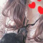 ヒメ日記 2026/04/08 14:09 投稿 もも 香川高松ちゃんこ