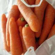 ヒメ日記 2026/04/16 09:09 投稿 もも 香川高松ちゃんこ