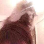 ヒメ日記 2026/04/27 23:59 投稿 もも 香川高松ちゃんこ