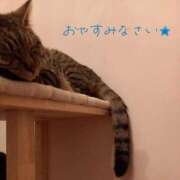 ヒメ日記 2026/07/16 02:29 投稿 もも 香川高松ちゃんこ