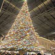 ヒメ日記 2024/12/16 00:30 投稿 みおり かりんと神田