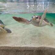 ヒメ日記 2025/09/03 20:15 投稿 ひな 千葉松戸ちゃんこ