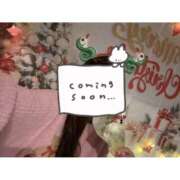 ヒメ日記 2025/12/25 08:00 投稿 つむぎ The White