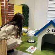 りり まかろん ♡ フォーチュン