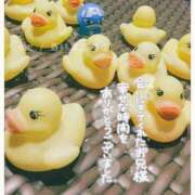 ヒメ日記 2025/01/05 15:56 投稿 かこ 熟女の風俗最終章 高崎店