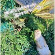 ヒメ日記 2025/04/17 22:28 投稿 かこ 熟女の風俗最終章 高崎店