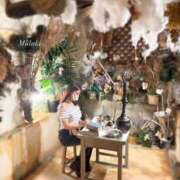 ヒメ日記 2025/07/29 15:01 投稿 みづき【プレミアム】 大人のゴシャール