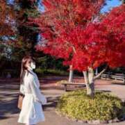 ヒメ日記 2025/12/10 08:30 投稿 みづき【プレミアム】 大人のゴシャール