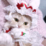 ヒメ日記 2025/02/04 20:35 投稿 あかり 谷町秘密倶楽部