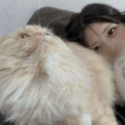 ヒメ日記 2025/11/16 12:35 投稿 あかり 谷町秘密倶楽部