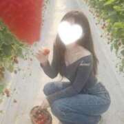 ヒメ日記 2026/02/15 10:03 投稿 ひな『ガール』 ディオーネ