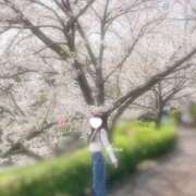 ヒメ日記 2026/04/06 12:05 投稿 ひな『ガール』 ディオーネ