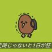 ヒメ日記 2026/01/29 15:06 投稿 はづき 西川口ビデオdeはんど