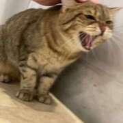 ヒメ日記 2026/02/06 14:16 投稿 はづき 西川口ビデオdeはんど