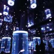 ヒメ日記 2026/02/19 15:46 投稿 はづき 西川口ビデオdeはんど