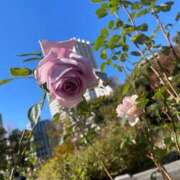 ヒメ日記 2024/12/26 20:03 投稿 ゆりあ 奥様の実話 梅田店