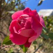 ヒメ日記 2025/01/09 22:38 投稿 ゆりあ 奥様の実話 梅田店