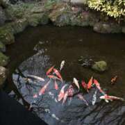 ヒメ日記 2025/02/02 20:16 投稿 ゆりあ 奥様の実話 梅田店