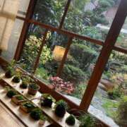 ヒメ日記 2025/12/04 21:52 投稿 ゆりあ 奥様の実話 梅田店