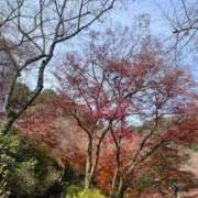 ヒメ日記 2025/12/22 23:45 投稿 ゆりあ 奥様の実話 梅田店