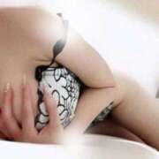 ヒメ日記 2025/11/29 06:14 投稿 小白金白(こしろがね　しろ) Ventura(ヴェントゥーラ)(仙台)