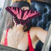 ヒメ日記 2025/01/08 19:56 投稿 ゆず コレクション