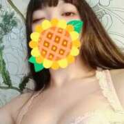 ヒメ日記 2025/06/12 14:08 投稿 ゆず コレクション