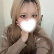 すみれ 雨にも負けず🕊️ 変態なんでも鑑定団