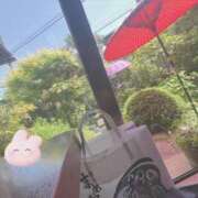 ヒメ日記 2025/05/25 15:03 投稿 みみ 横浜しこたまクリニック