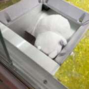 ヒメ日記 2025/06/04 22:01 投稿 あみな 熟女の風俗最終章 蒲田店