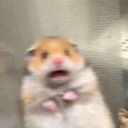 ヒメ日記 2026/02/24 12:58 投稿 しう わちゃわちゃ密着リアルフルーちゅ西船橋