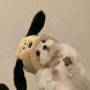 ヒメ日記 2026/03/25 15:28 投稿 しう わちゃわちゃ密着リアルフルーちゅ西船橋