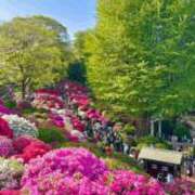 ヒメ日記 2025/04/30 13:56 投稿 せら 熟女家 京橋店