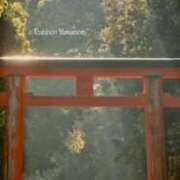 ヒメ日記 2025/05/13 01:56 投稿 せら 熟女家 京橋店