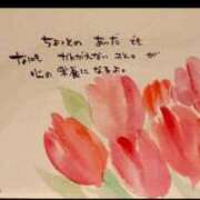 ヒメ日記 2025/05/14 03:06 投稿 せら 熟女家 京橋店